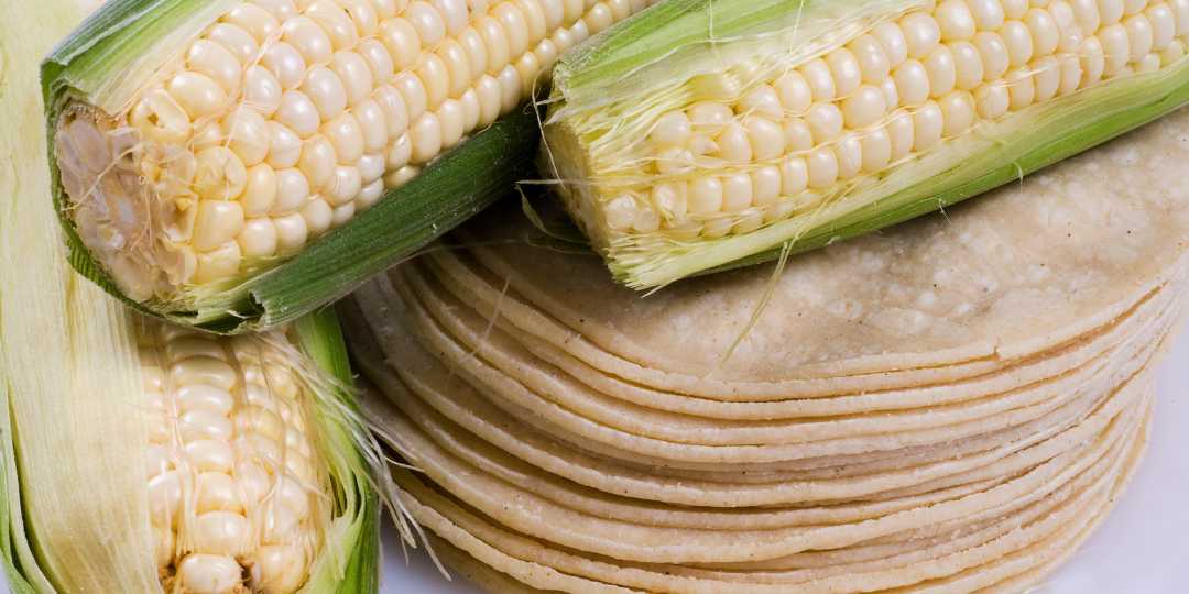 Corn Tortillas Recipe